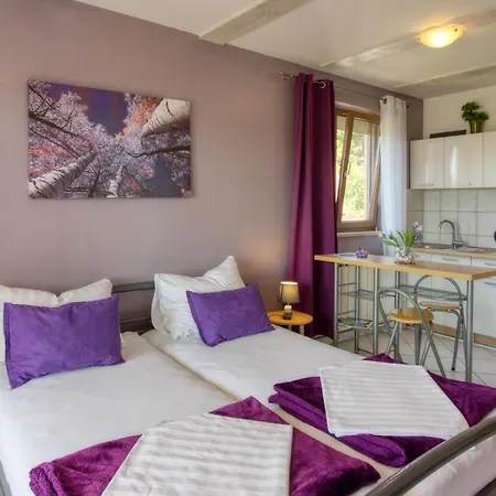 Apartman Studio Apartamento Pula